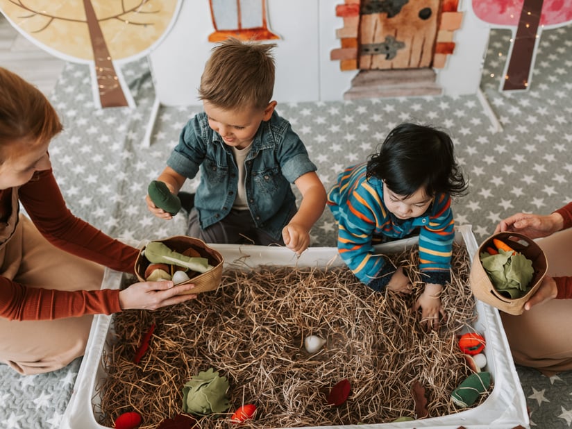 Best STEM Curriculum for Elementary