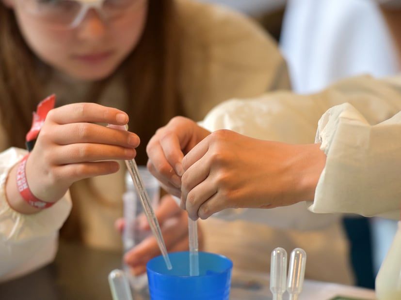 Elementary Science Curriculum