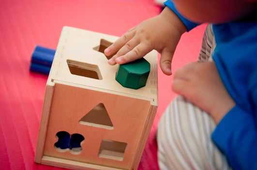 Sorting Shapes