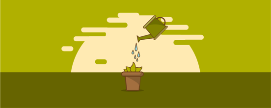 Plant being watered