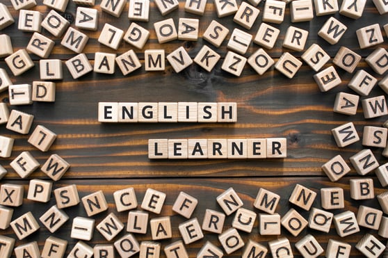 Wooden tiles spelling out English Learner