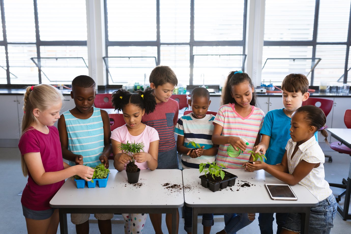 Blog accelerate learning science strategies