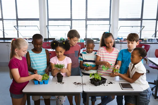 scientific literacy and critical thinking skills reflection Cooperative Learning in STEM