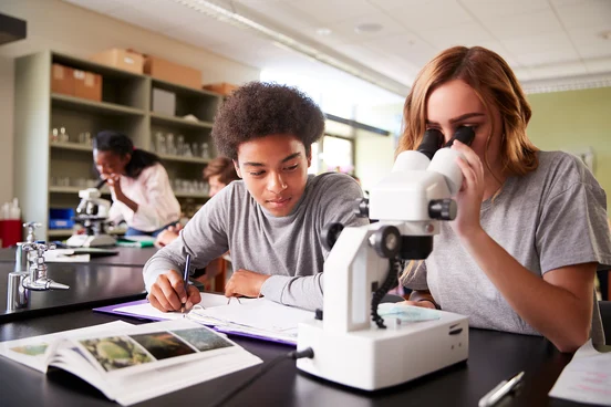 scientific literacy and critical thinking skills reflection STEM Integration from Kindergarten to High School