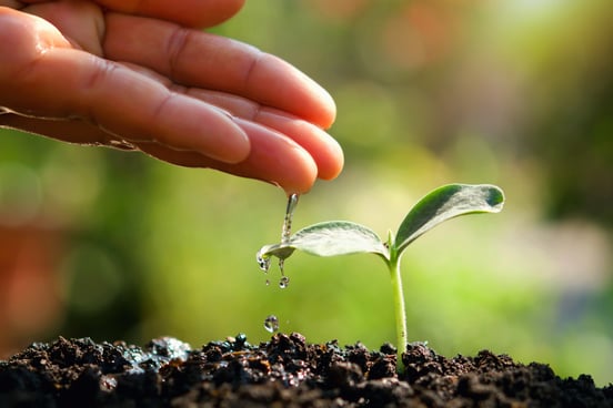 plant and hand SEP