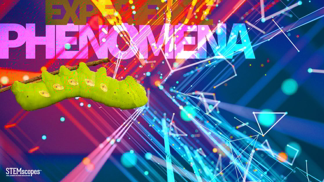 Zoom Background_Phenomena
