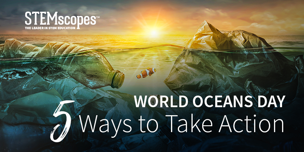 World Oceans Day: 5 Ways to Take Action