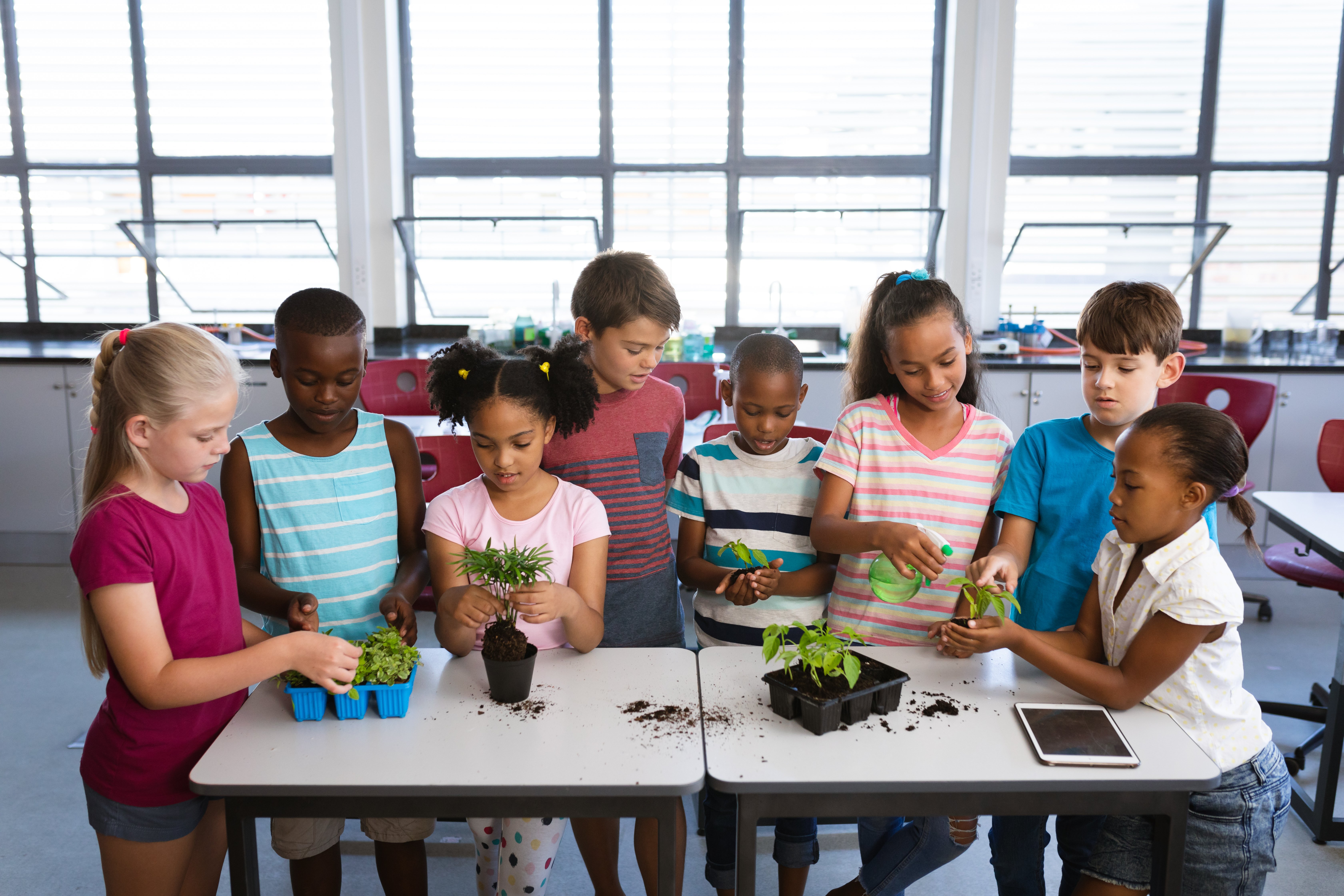 How to Use Cooperative Learning Strategies in STEM