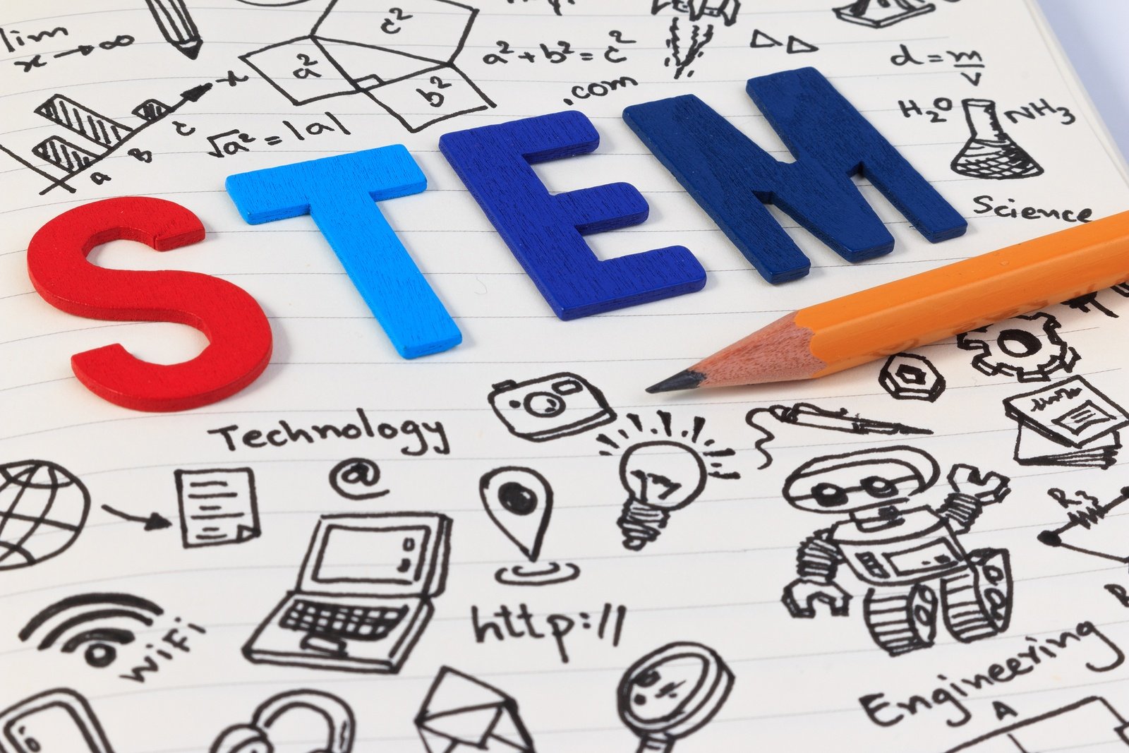 Lesser Known Avenues to STEM Careers